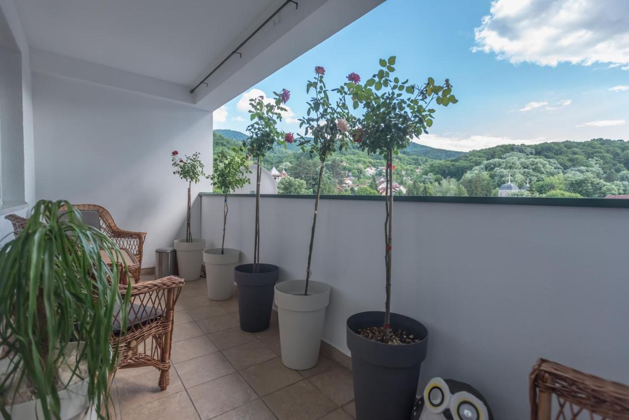 Onore Dell Amore Apartman Sa Djakuzijem Banja Koviljača Exteriör bild