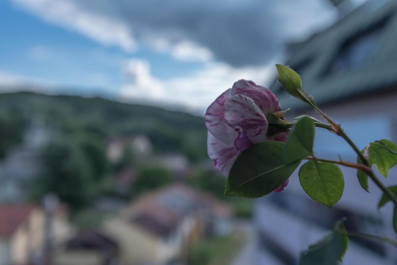 Onore Dell Amore Apartman Sa Djakuzijem Banja Koviljača Exteriör bild